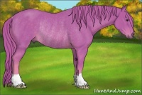 Horse Color:Watercolor Chestnut Rabicano 