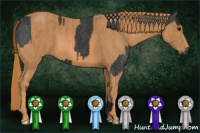 Horse Color:Black  Brindle