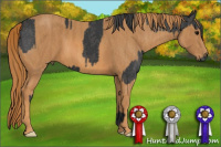 Horse Color:Black  Brindle