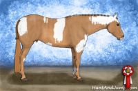 Horse Color:Black Appaloosa  Brindle