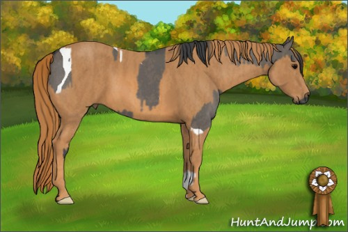 Horse Color: Brown Dun Tobiano  Brindle