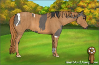 Horse Color:Brown Dun Tobiano Brindle