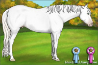Horse Color:Gray Silver Amber Cream Champagne Roan Dun Splash Tobiano Frame Appaloosa Rabicano 