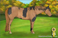 Horse Color:Black  Brindle