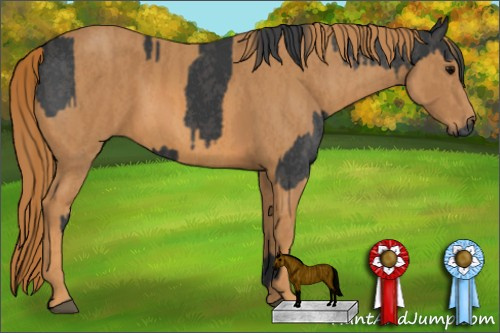 Horse Color: Black  Brindle