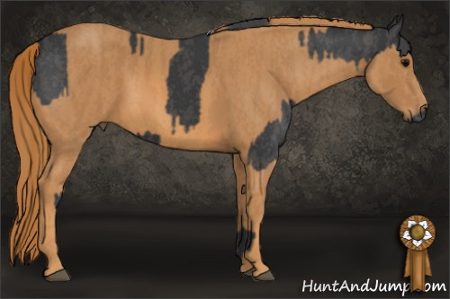 Horse Color: Black  Brindle