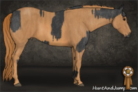 Horse Color:Black  Brindle