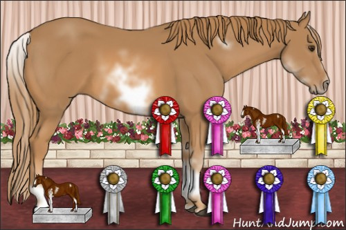 Horse Color: White Spotted Chestnut Sabino Frame 