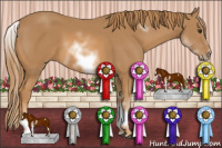 Horse Color:White Spotted Chestnut Sabino Frame 