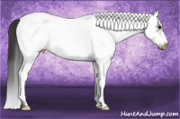 Horse Color:White Spotted Brown Sabino Frame 