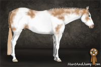Horse Color:White Spotted Chestnut Sabino Frame
