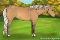 Horse Color:Silver Buckskin Roan 