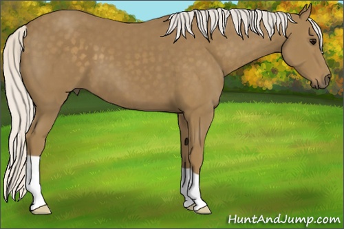Horse Color: Silver Smoky Black 