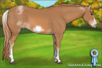 Horse Color:White Spotted Chestnut Sabino Frame