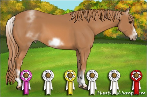 Horse Color: White Spotted Chestnut Sabino Frame 