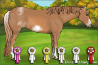 Horse Color:White Spotted Chestnut Sabino Frame 