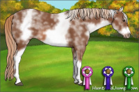 Horse Color:White Spotted Chestnut Sabino Frame 
