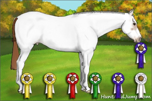 Horse Color: White Spotted Chestnut Sabino Frame 