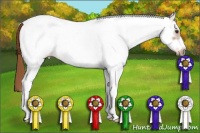 Horse Color:White Spotted Chestnut Sabino Frame 