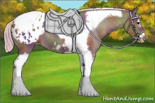 Horse Color:Nacre Silver Black Splash Tobiano Frame Appaloosa 