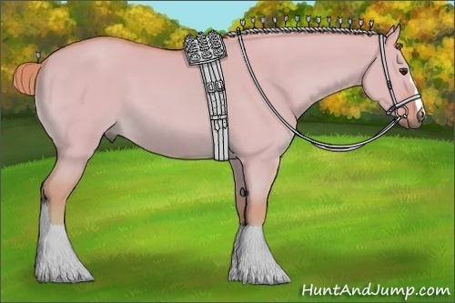 Horse Color: Watercolor Red Dun 