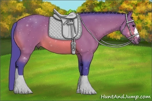 Horse Color: Watercolor Bay 