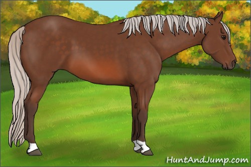 Horse Color: Silver Bay 