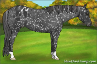 Horse Color:Brown Blanket 