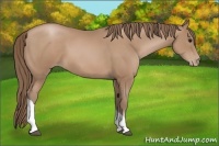 Horse Color:Black Pearl 