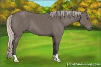 Horse Color:Silver Black 