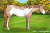 Horse Color:Chestnut Pearl Frame