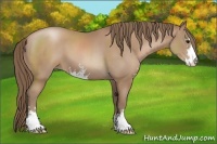 Horse Color:Black Pearl Sabino