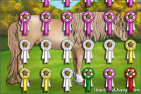 Horse Color:Chestnut Pearl