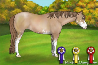 Horse Color:Black Pearl Sabino 