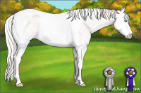 Horse Color:Perlino Splash Tobiano 