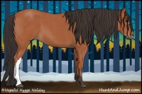 Horse Color:Bay Roan 
