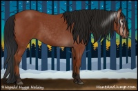 Horse Color:Gray Bay Roan 