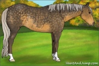Horse Color:Silver Smoky Black Rabicano 