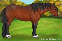 Horse Color:Brown 