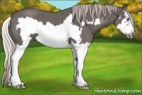 Horse Color:Silver Blue Roan Splash Frame 