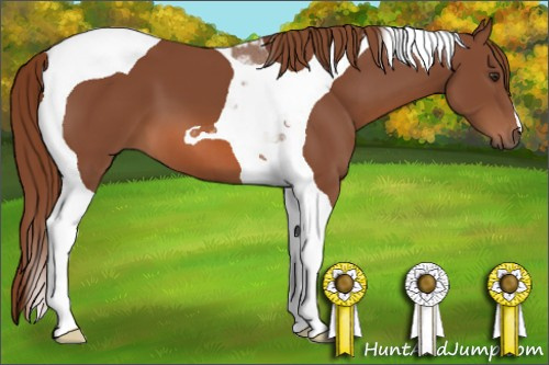 Horse Color: Liver Chestnut Tobiano 