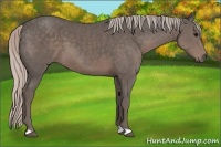 Horse Color:Silver Black 