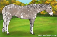 Horse Color:White Spotted Silver Black Ice Splash Frame 