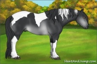 Horse Color:Brown Chinchilla Tobiano 