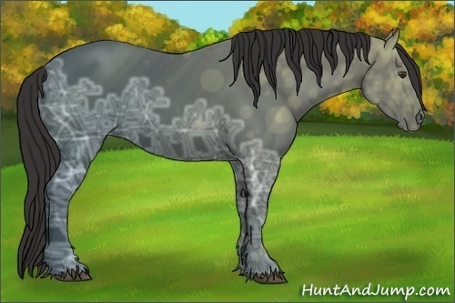 Horse Color: Liver Chestnut Ice 
