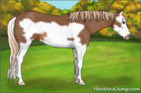 Horse Color:Chestnut Splash Frame 