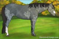 Horse Color:Liver Chestnut Ice 
