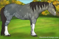 Horse Color:Liver Chestnut Ice 