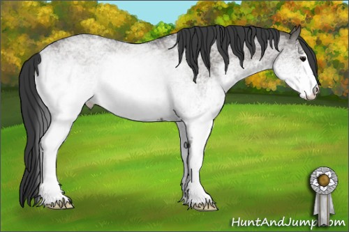 Horse Color: White Spotted Grullo Roan 