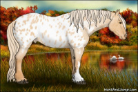 Horse Color:Chocolate Palomino Roan Dun Near Leopard Rabicano 
